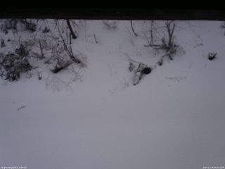 長野県菅平高原 ゆたか山荘 南側 2025/12/26 06:45