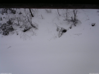 長野県菅平高原 ゆたか山荘 南側 2025/12/26 07:00