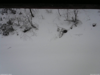 長野県菅平高原 ゆたか山荘 南側 2025/12/26 07:15