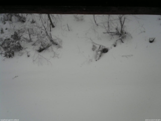 長野県菅平高原 ゆたか山荘 南側 2025/12/26 07:30