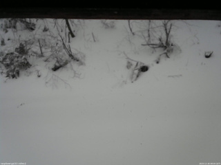 長野県菅平高原 ゆたか山荘 南側 2025/12/26 08:00