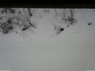 長野県菅平高原 ゆたか山荘 南側 2025/12/26 08:15