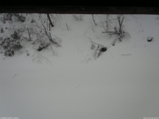 長野県菅平高原 ゆたか山荘 南側 2025/12/26 08:30