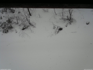 長野県菅平高原 ゆたか山荘 南側 2025/12/26 08:45