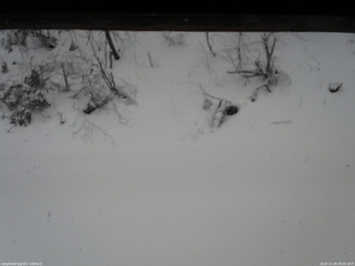 長野県菅平高原 ゆたか山荘 南側 2025/12/26 09:00