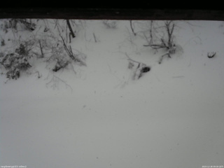 長野県菅平高原 ゆたか山荘 南側 2025/12/26 09:30