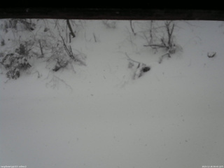 長野県菅平高原 ゆたか山荘 南側 2025/12/26 09:45