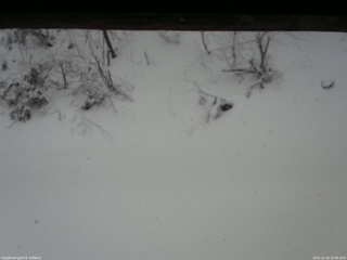 長野県菅平高原 ゆたか山荘 南側 2025/12/26 10:00