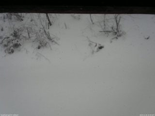 長野県菅平高原 ゆたか山荘 南側 2025/12/26 10:30