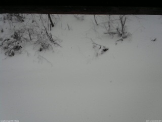 長野県菅平高原 ゆたか山荘 南側 2025/12/26 10:45