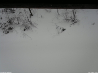 長野県菅平高原 ゆたか山荘 南側 2025/12/26 11:00