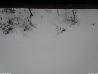 長野県菅平高原 ゆたか山荘 南側 2025/12/26 11:15