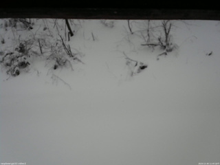 長野県菅平高原 ゆたか山荘 南側 2025/12/26 11:45