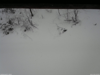 長野県菅平高原 ゆたか山荘 南側 2025/12/26 12:00