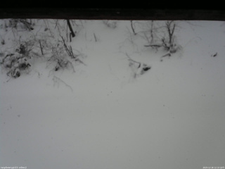 長野県菅平高原 ゆたか山荘 南側 2025/12/26 12:15