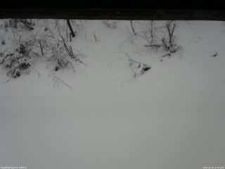 長野県菅平高原 ゆたか山荘 南側 2025/12/26 12:30