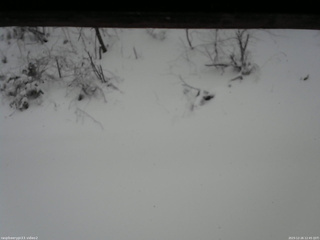 長野県菅平高原 ゆたか山荘 南側 2025/12/26 12:45