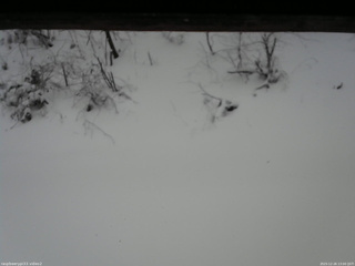 長野県菅平高原 ゆたか山荘 南側 2025/12/26 13:00