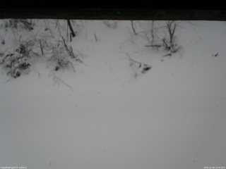 長野県菅平高原 ゆたか山荘 南側 2025/12/26 13:30