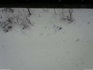 長野県菅平高原 ゆたか山荘 南側 2025/12/26 13:45