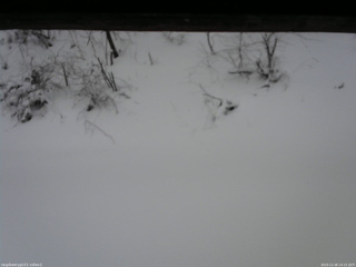 長野県菅平高原 ゆたか山荘 南側 2025/12/26 14:15