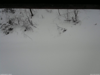 長野県菅平高原 ゆたか山荘 南側 2025/12/26 15:00