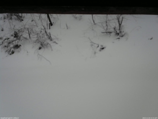 長野県菅平高原 ゆたか山荘 南側 2025/12/26 15:15