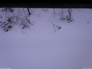 長野県菅平高原 ゆたか山荘 南側 2025/12/26 16:15