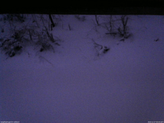 長野県菅平高原 ゆたか山荘 南側 2025/12/27 06:30