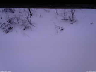 長野県菅平高原 ゆたか山荘 南側 2025/12/27 06:45