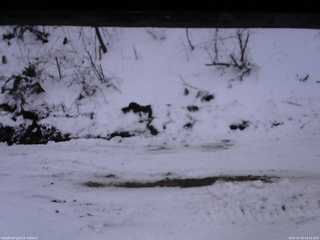 長野県菅平高原 ゆたか山荘 南側 2025/12/30 14:15