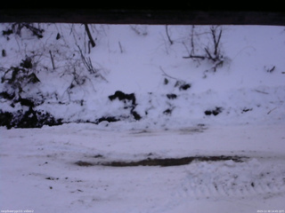 長野県菅平高原 ゆたか山荘 南側 2025/12/30 14:45