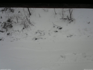 長野県菅平高原 ゆたか山荘 南側 2025/12/31 14:15