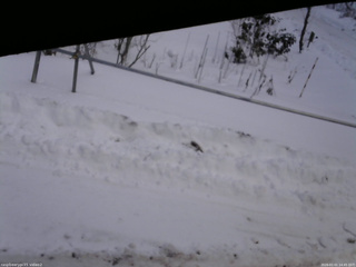 長野県菅平高原 ゆたか山荘 駐車場 2026/01/01 14:45