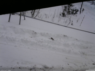 長野県菅平高原 ゆたか山荘 駐車場 2026/01/01 16:00