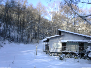長野県菅平高原 ゆたか山荘 西側(坂上) 2026/01/04 08:45