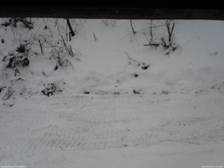 長野県菅平高原 ゆたか山荘 南側 2026/01/05 11:15