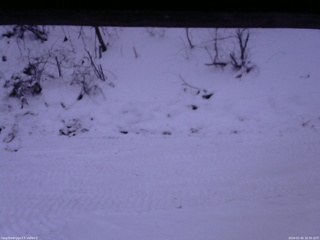 長野県菅平高原 ゆたか山荘 南側 2026/01/05 16:30