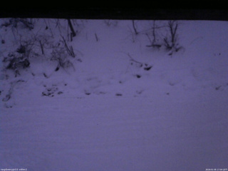 長野県菅平高原 ゆたか山荘 南側 2026/01/05 17:00