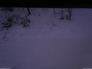 長野県菅平高原 ゆたか山荘 南側 2026/01/06 06:30