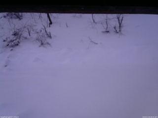 長野県菅平高原 ゆたか山荘 南側 2026/01/06 06:45