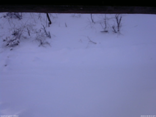 長野県菅平高原 ゆたか山荘 南側 2026/01/06 08:15