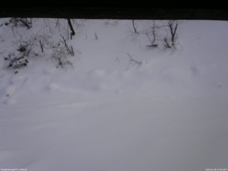 長野県菅平高原 ゆたか山荘 南側 2026/01/06 15:00