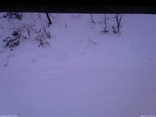 長野県菅平高原 ゆたか山荘 南側 2026/01/07 06:45