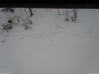 長野県菅平高原 ゆたか山荘 南側 2026/01/07 09:00