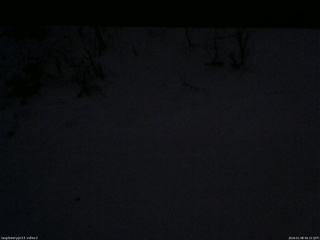 長野県菅平高原 ゆたか山荘 南側 2026/01/08 06:15