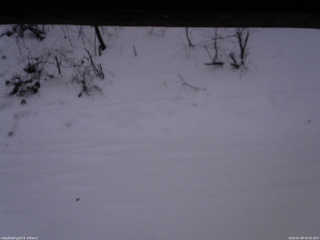 長野県菅平高原 ゆたか山荘 南側 2026/01/08 06:30