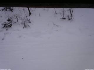 長野県菅平高原 ゆたか山荘 南側 2026/01/08 08:00