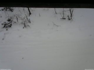 長野県菅平高原 ゆたか山荘 南側 2026/01/08 08:30