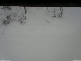 長野県菅平高原 ゆたか山荘 南側 2026/01/08 09:30